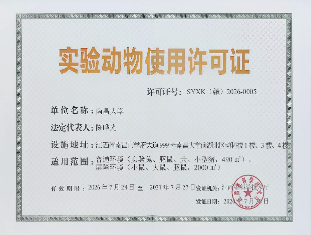ebd492a324eb4ffa81cb54aa946fb8cf.png